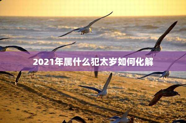 2021年属什么犯太岁如何化解