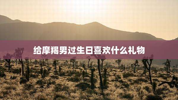 给摩羯男过生日喜欢什么礼物