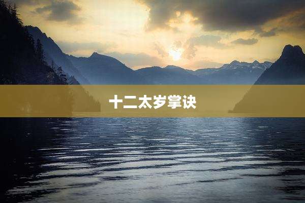 十二太岁掌诀