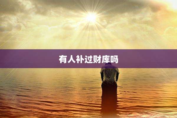 有人补过财库吗