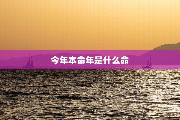 今年本命年是什么命