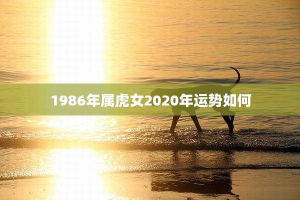 1986年属虎女2020年运势如何