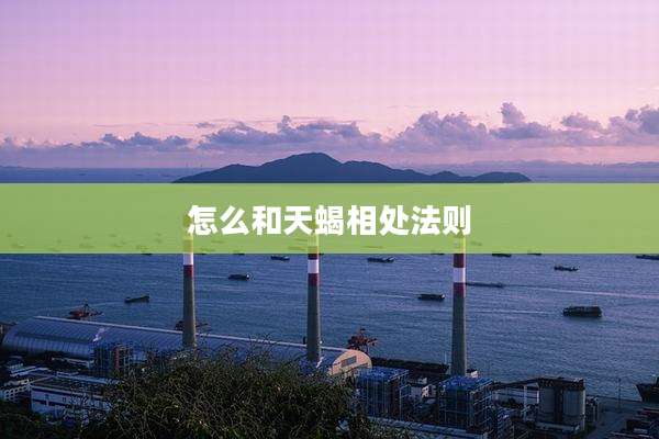 怎么和天蝎相处法则