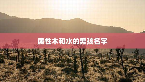 属性木和水的男孩名字