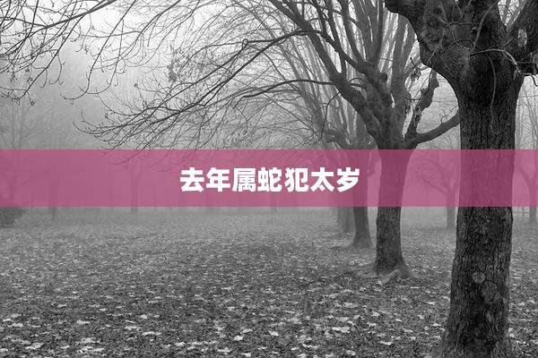 去年属蛇犯太岁
