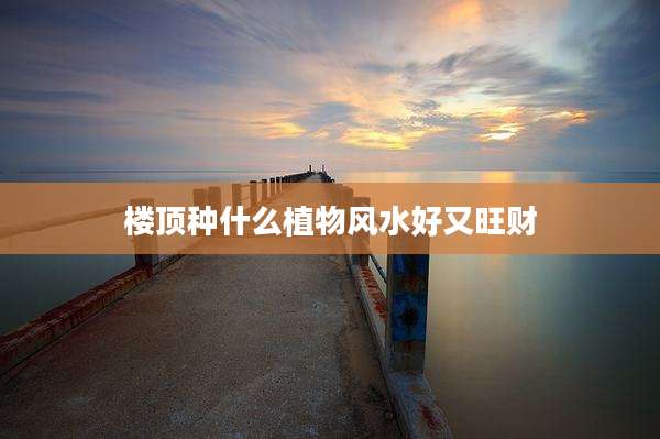 楼顶种什么植物风水好又旺财