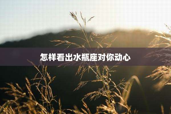 怎样看出水瓶座对你动心