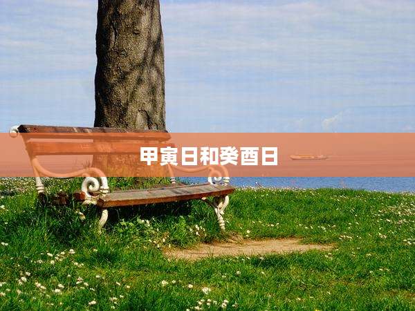 甲寅日和癸酉日