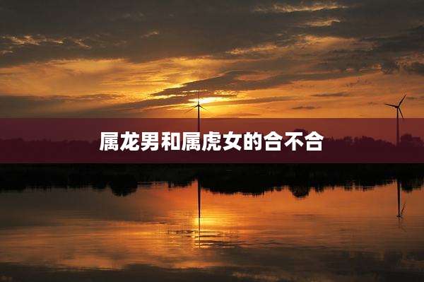 属龙男和属虎女的合不合