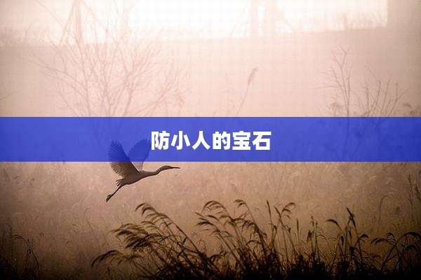 防小人的宝石