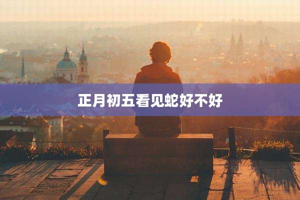 正月初五看见蛇好不好