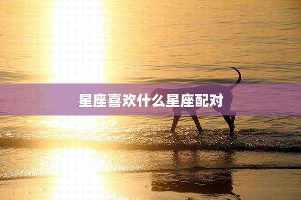 星座喜欢什么星座配对
