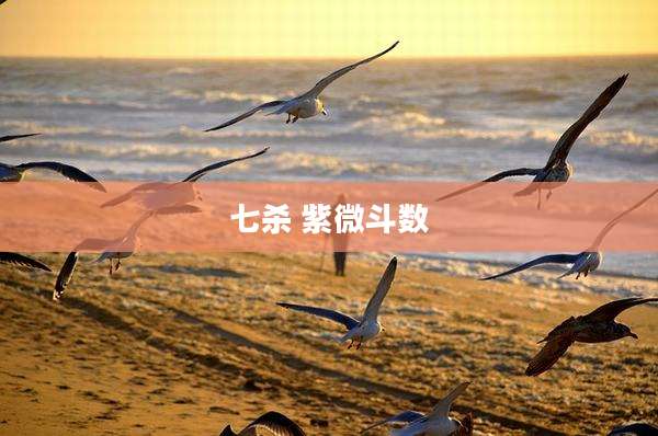 七杀 紫微斗数