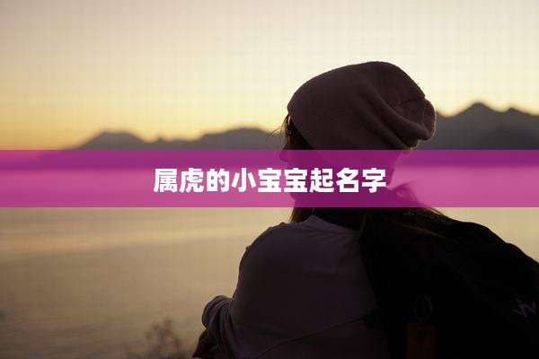 属虎的小宝宝起名字