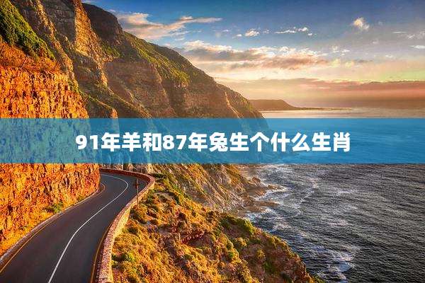 91年羊和87年兔生个什么生肖
