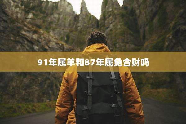 91年属羊和87年属兔合财吗