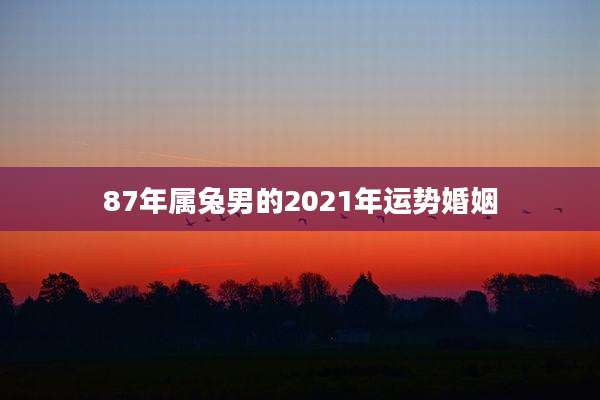 87年属兔男的2021年运势婚姻