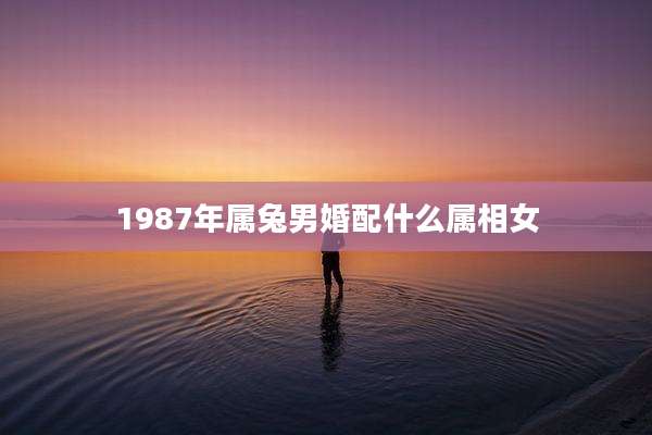 1987年属兔男婚配什么属相女