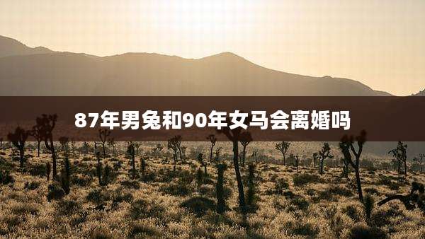 87年男兔和90年女马会离婚吗