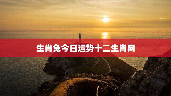 生肖兔今日运势十二生肖网