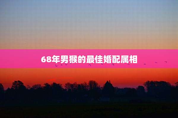 68年男猴的最佳婚配属相