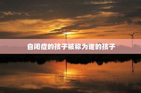 自闭症的孩子被称为谁的孩子
