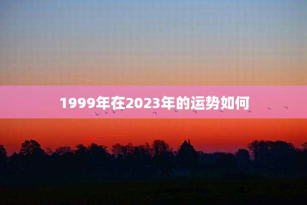 1999年在2023年的运势如何