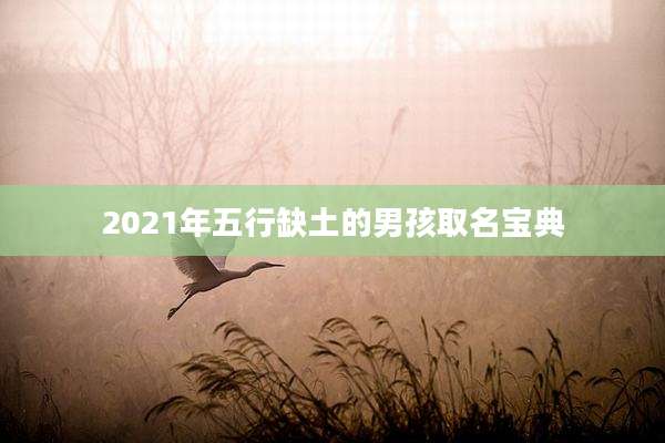 2021年五行缺土的男孩取名宝典