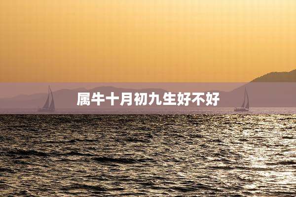 属牛十月初九生好不好