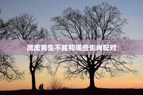属虎男生不能和哪些生肖配对