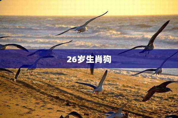 26岁生肖狗