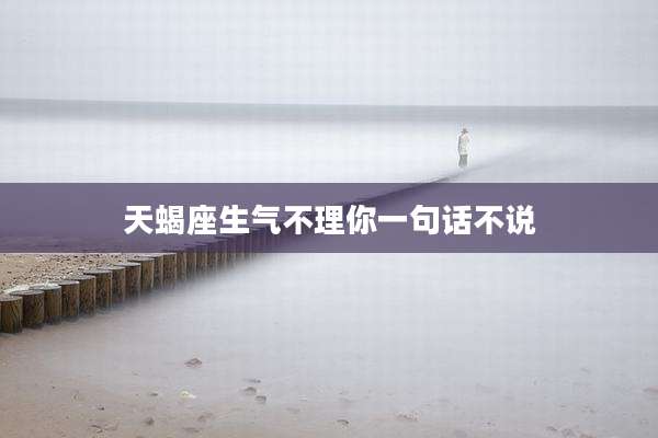 天蝎座生气不理你一句话不说