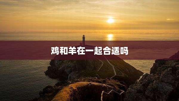 鸡和羊在一起合适吗