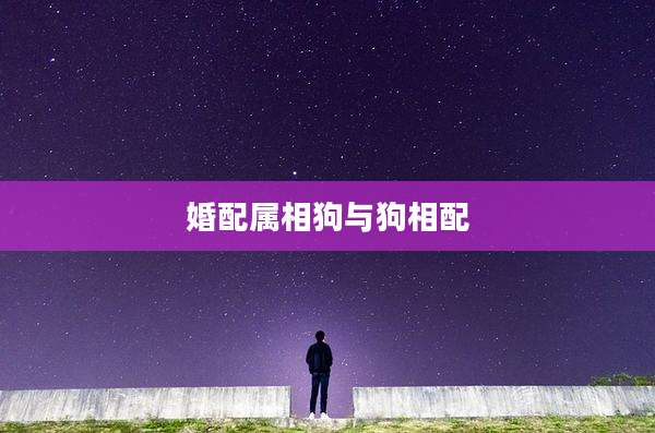 婚配属相狗与狗相配