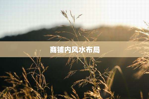 商铺内风水布局