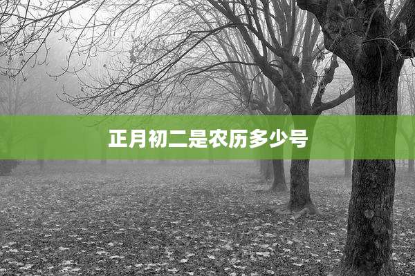 正月初二是农历多少号