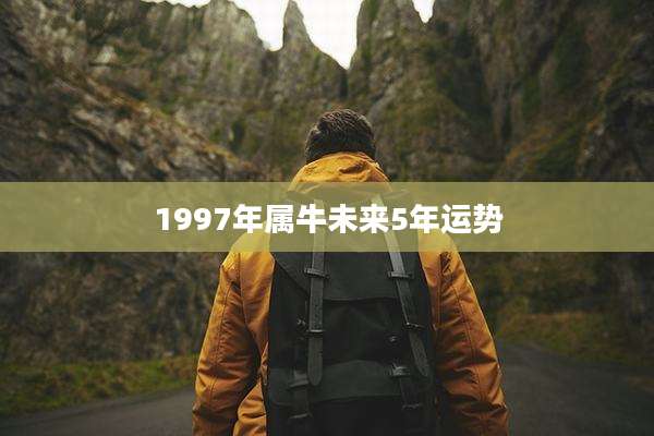 1997年属牛未来5年运势