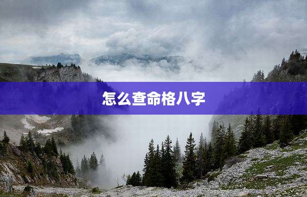 怎么查命格八字