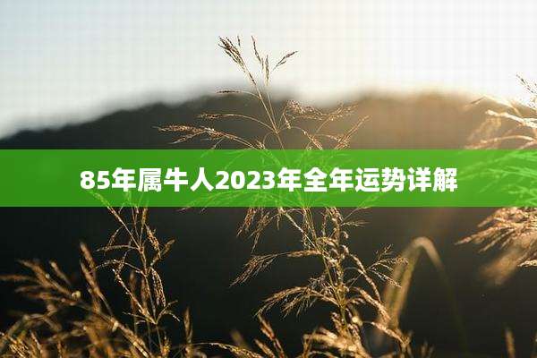 85年属牛人2023年全年运势详解
