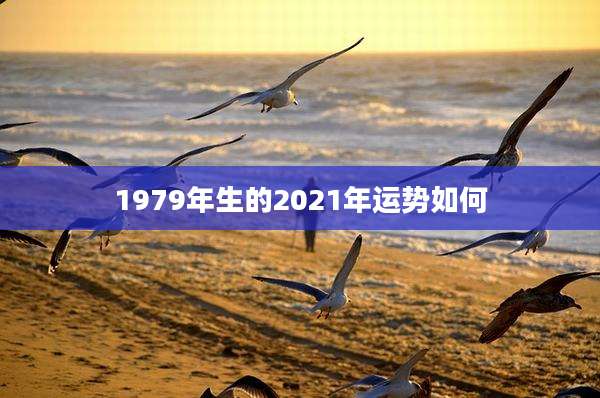 1979年生的2021年运势如何