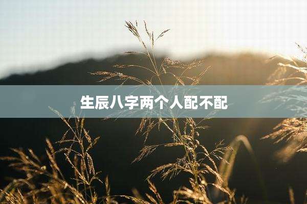 生辰八字两个人配不配