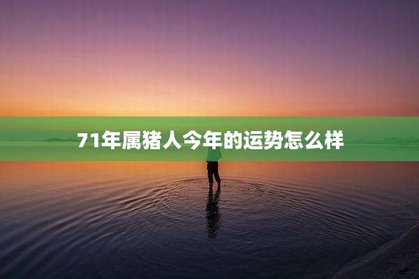 71年属猪人今年的运势怎么样