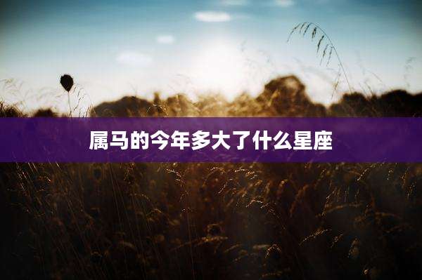属马的今年多大了什么星座