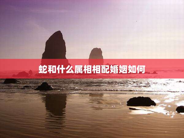 蛇和什么属相相配婚姻如何