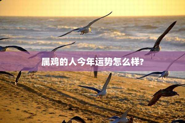 属鸡的人今年运势怎么样?