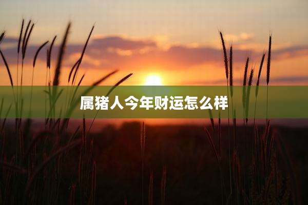 属猪人今年财运怎么样
