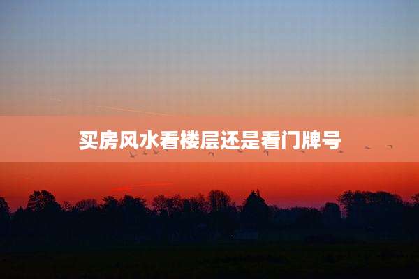 买房风水看楼层还是看门牌号