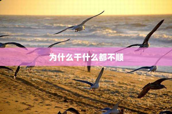 为什么干什么都不顺