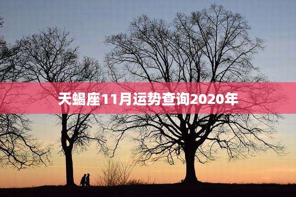 天蝎座11月运势查询2020年