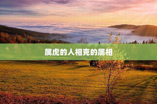 属虎的人相克的属相